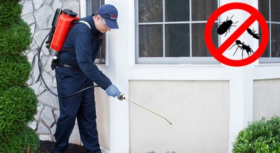 Gölhisar Kene İlaçlama böcek ilaçlama ve haşere kontrolü — ilaclama-tr.com